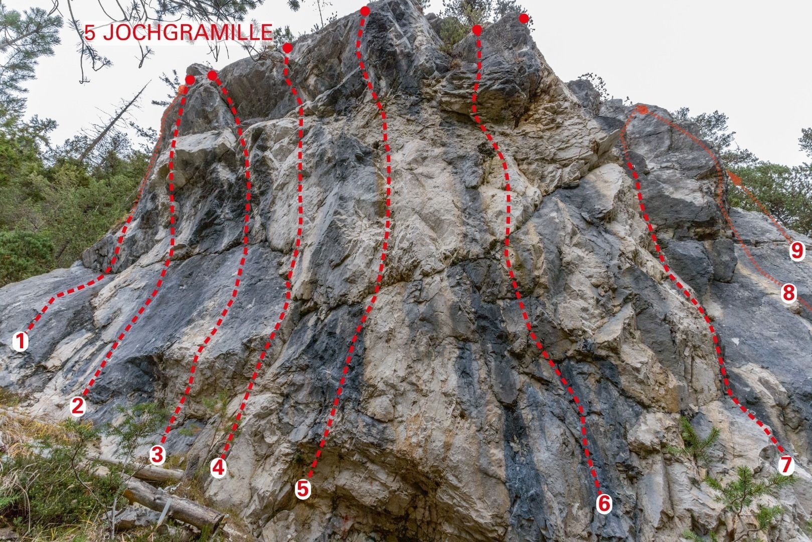 Topography