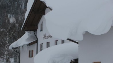 Schnee Wiesenheim