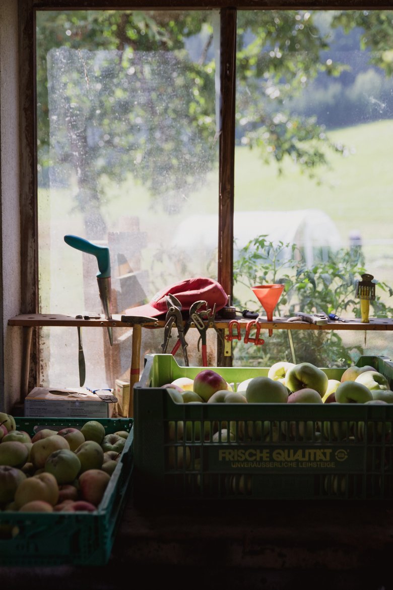 450 trees supply the family’s two hotels with fresh fruit.