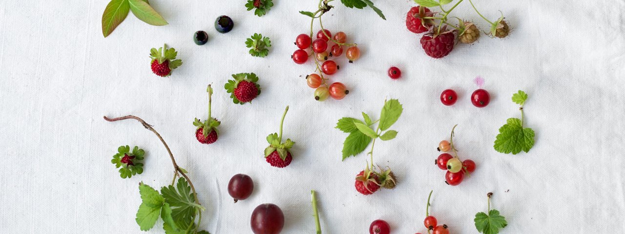 Wild berries, © Tirol Werbung / Kathrin Koschitzki
