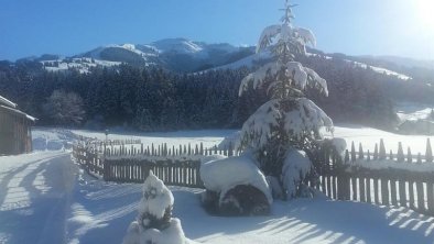 Blick zur Ehrenbachhöhe