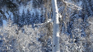 Lechtal im Winter