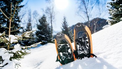 Schneeschuhwandern in Steinberg am Rofan  Snowshoe