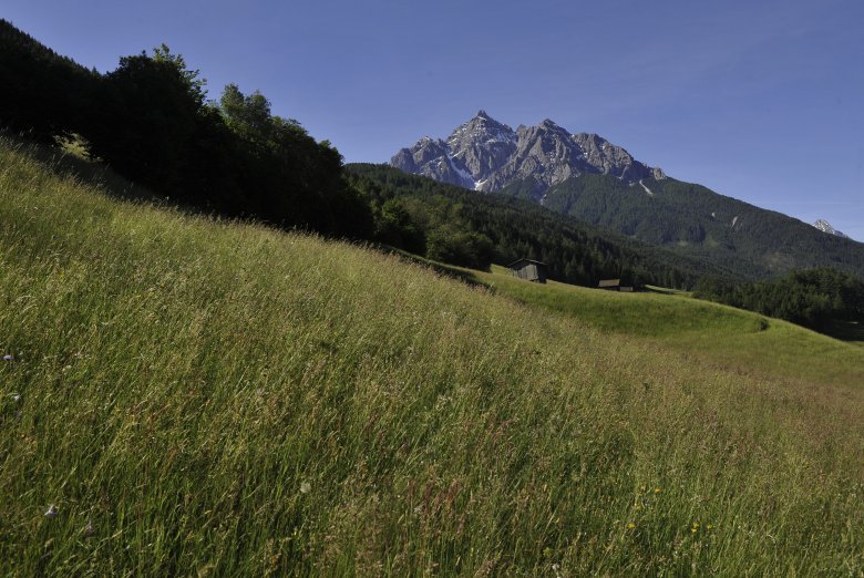 Just a mountain or the giant King Serles with his entourage? Photo: Tirol Werbung/Bernhard Aichner