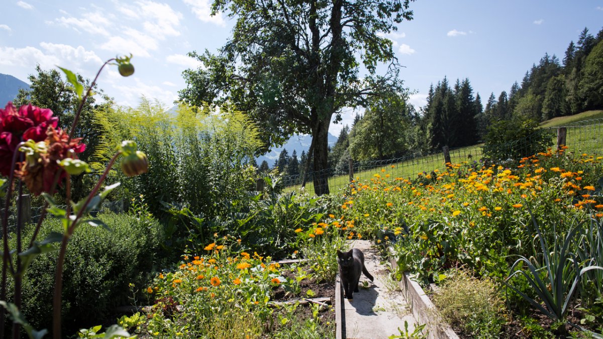 The fruit orchard and vegetable garden provide many fresh ingredients., © Tirol Werbung/Lisa Hörterer