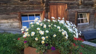 Blumenschmuck beim Stall