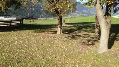 Unsere Pferde Ferienhof Stadlpoint Ried Zillertal