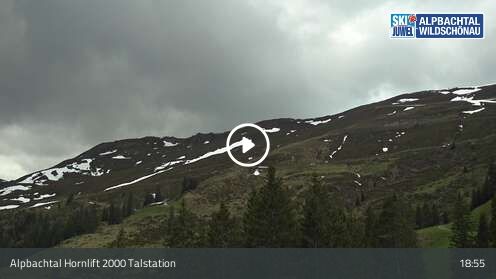 Webcam Hornlift 2000 Talstation