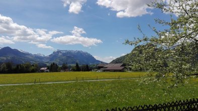 Ferienwohnung Waldesruh Ausblick